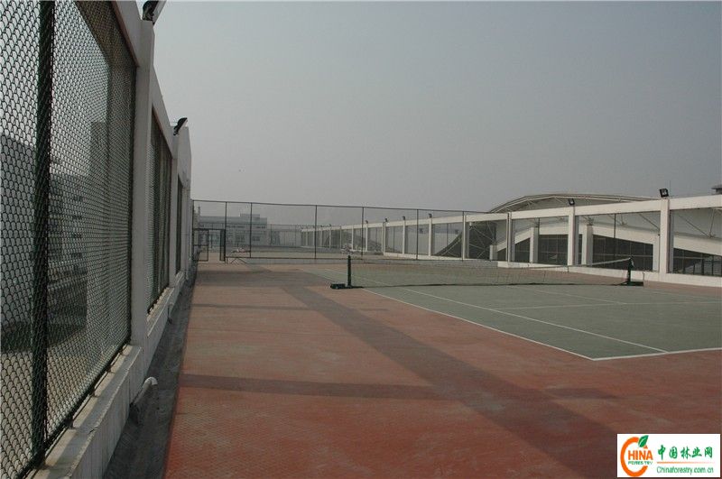 武汉专业的体育单招的学校有哪些啊?